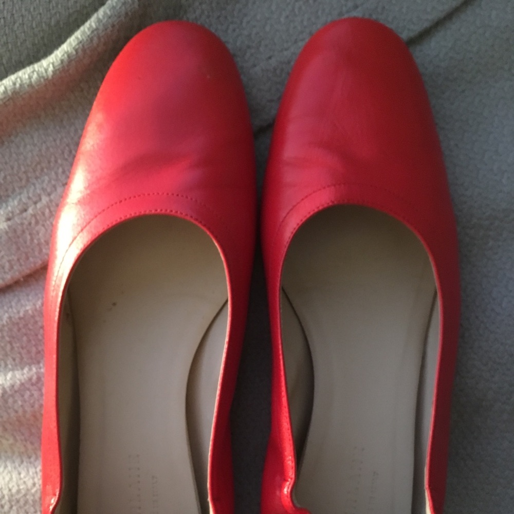 Everlane Day Flat